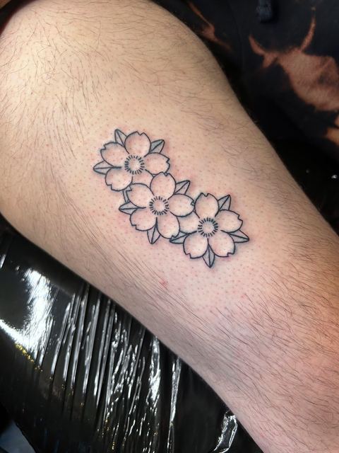 Three cherry blossoms in black linework