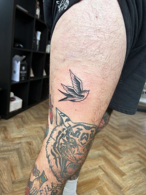Traditional swallow in black linework